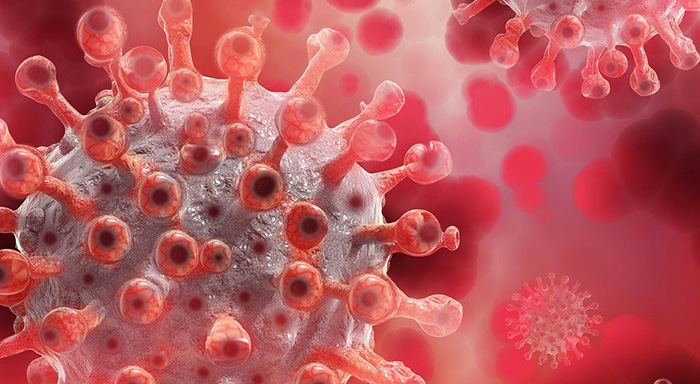 Coronavirus